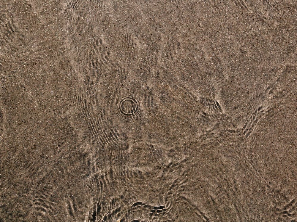 Coronado Gold Sand II