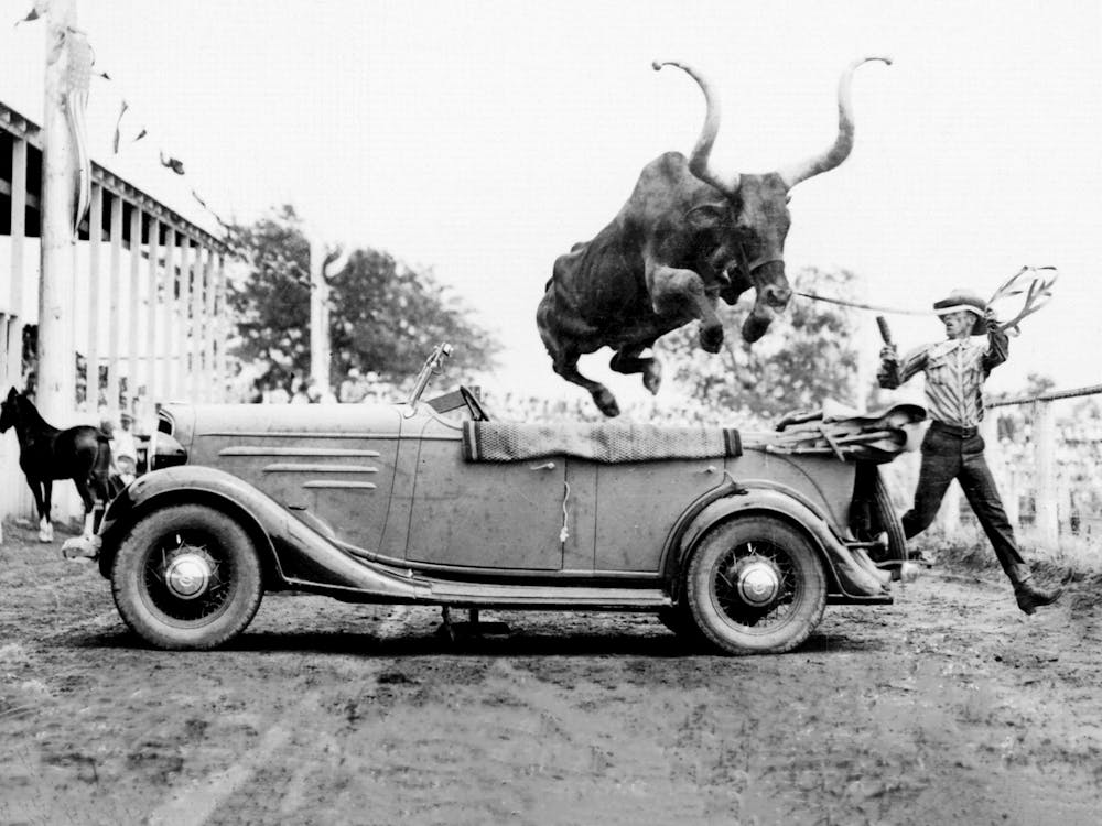 Taureau Sautant Par-Dessus Une Voiture, Décor Mural Western, Vieille Photo Noir et Blanc Vintage