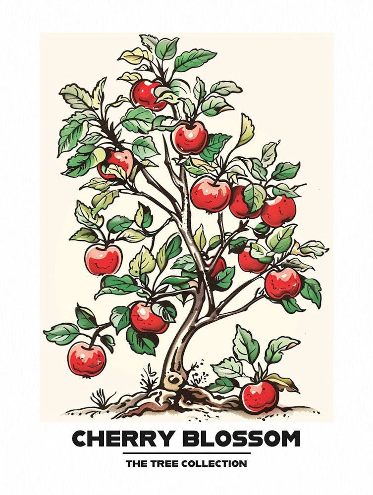 Cherry Blossom Tree Storybook Illustration 1 Poster