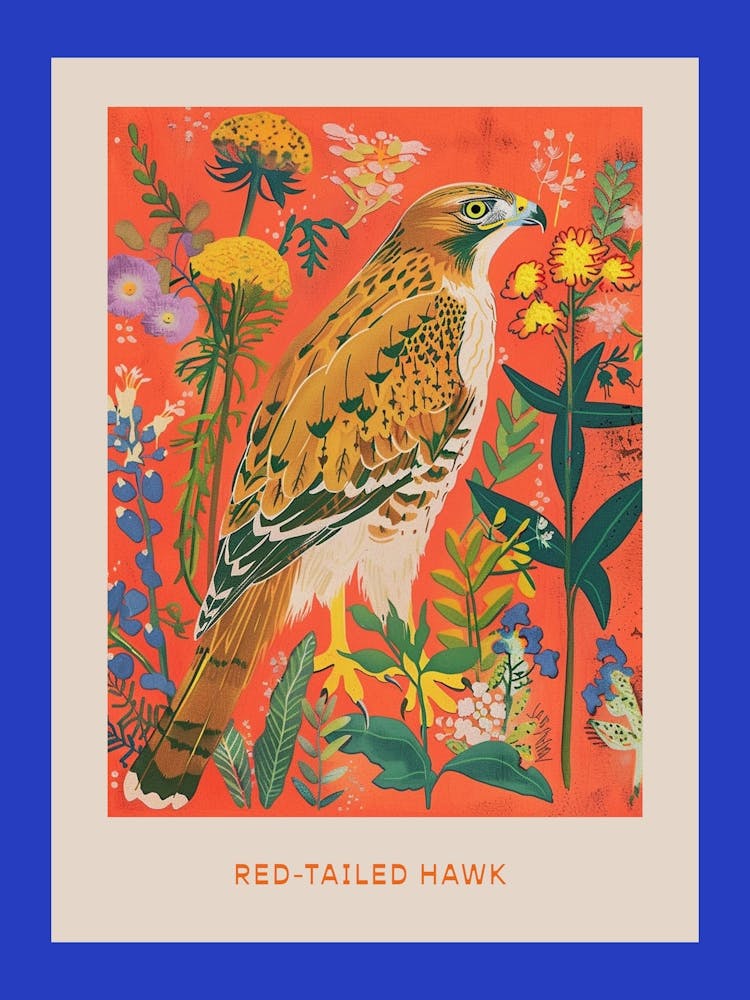 Spring Birds Poster Red Tailed Hawk 4