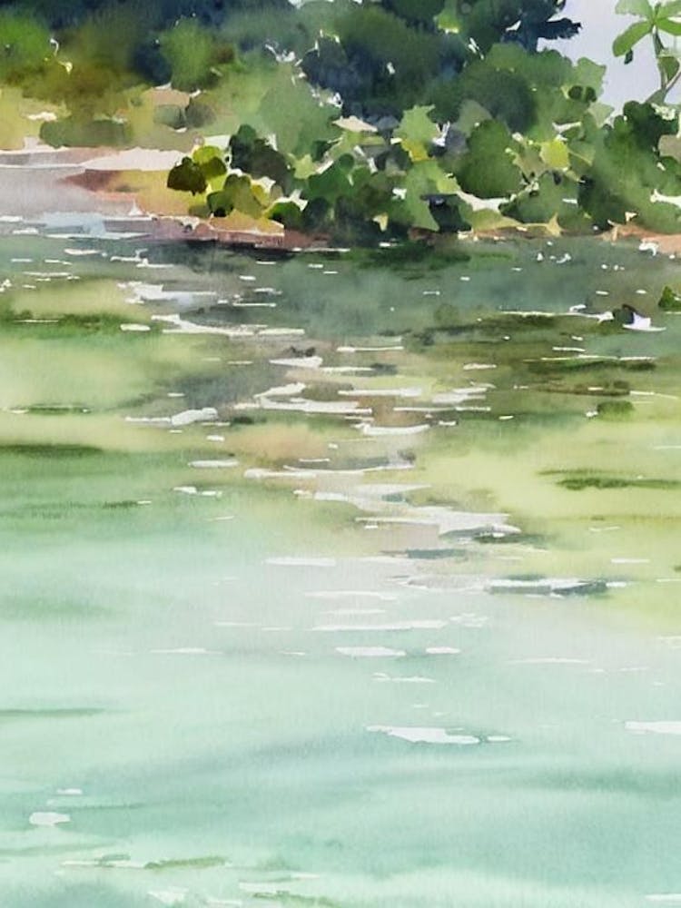 Tanjung Puting National Park Indonesia Water Colour Poster