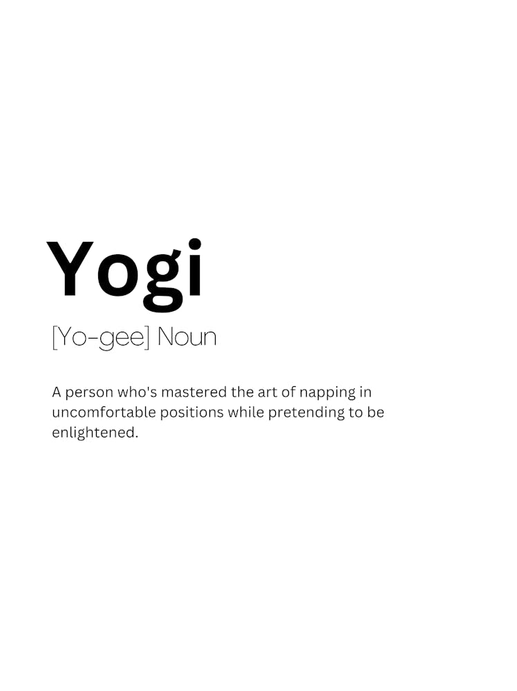 Yogi Definition Meaning 1