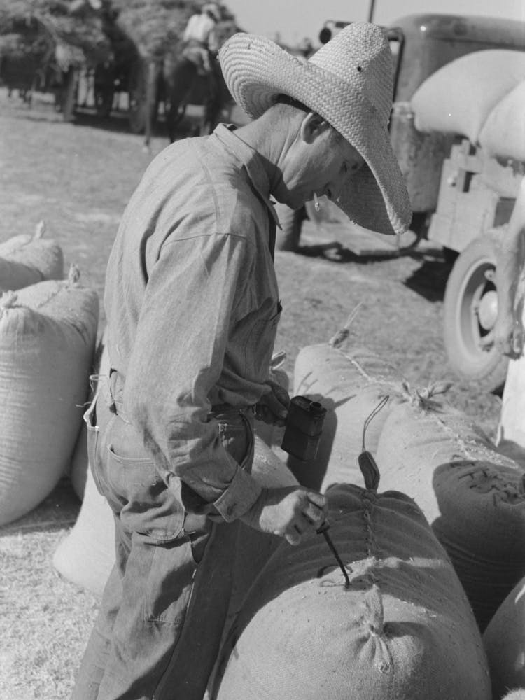 Untitled Photo, Possibly Related To Rice Workers Painting Identification Marks On Sacks Of Rice, Crowley, Louisiana By