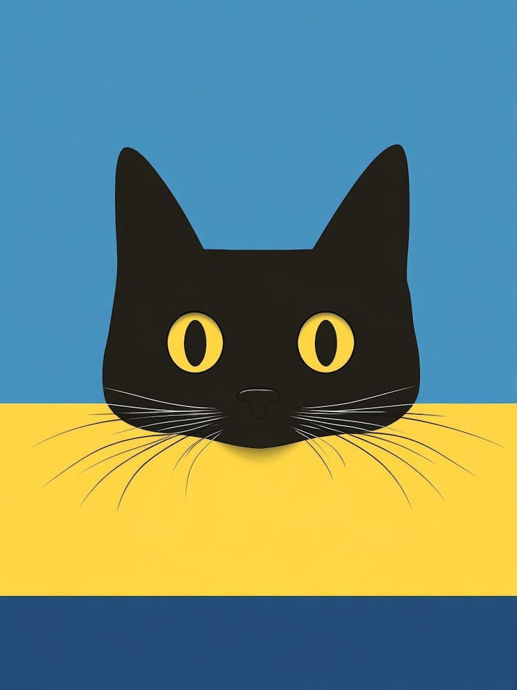 Black Cat Canvas Print 11