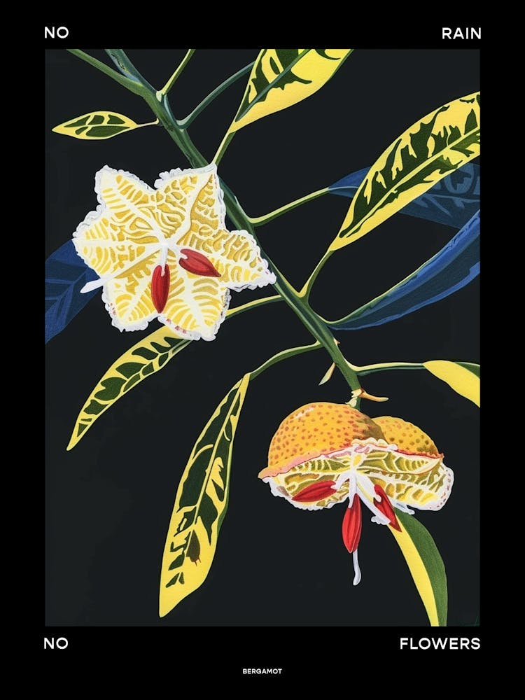 No Rain No Flowers Poster Bergamot 1