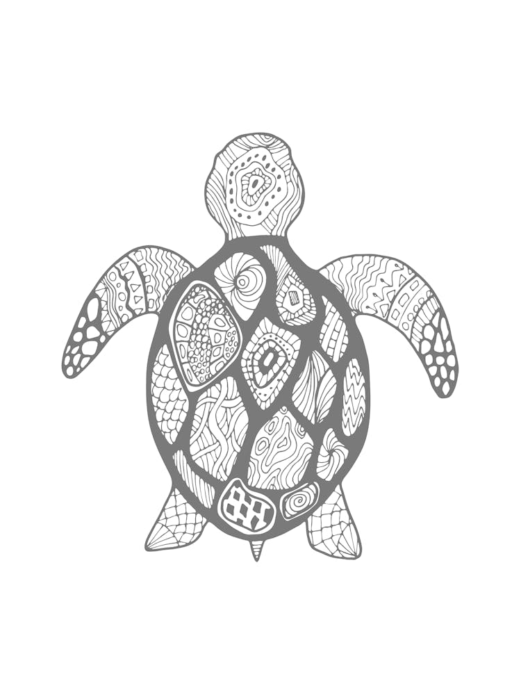 Turtle Doodle