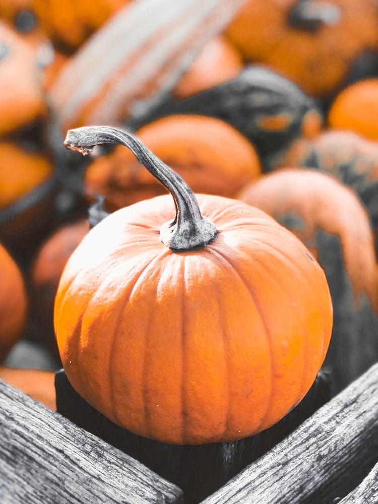 Pumpkins