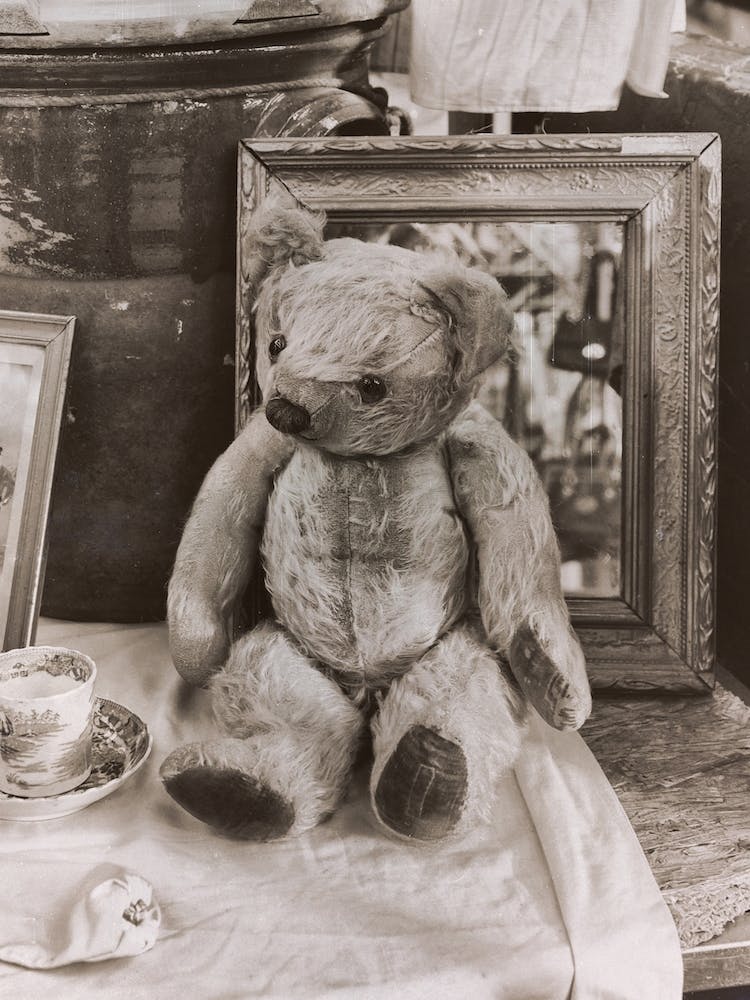 The Little Teddy Bear