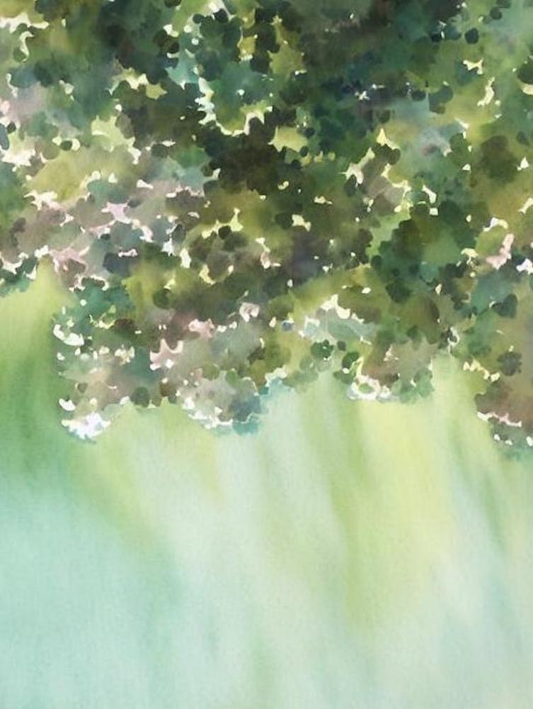 Acropora Solitaryensis Storybook Watercolour