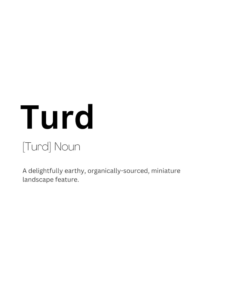 Turd Definition Meaning