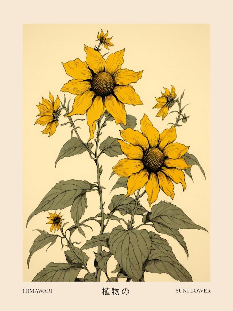 Himawari Sunflower Vintage Japanese Botanical Poster