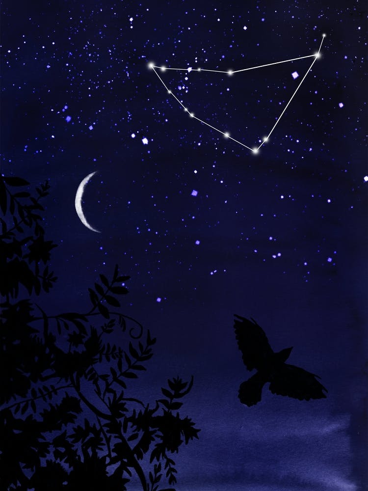 Starry Night and Moon #5