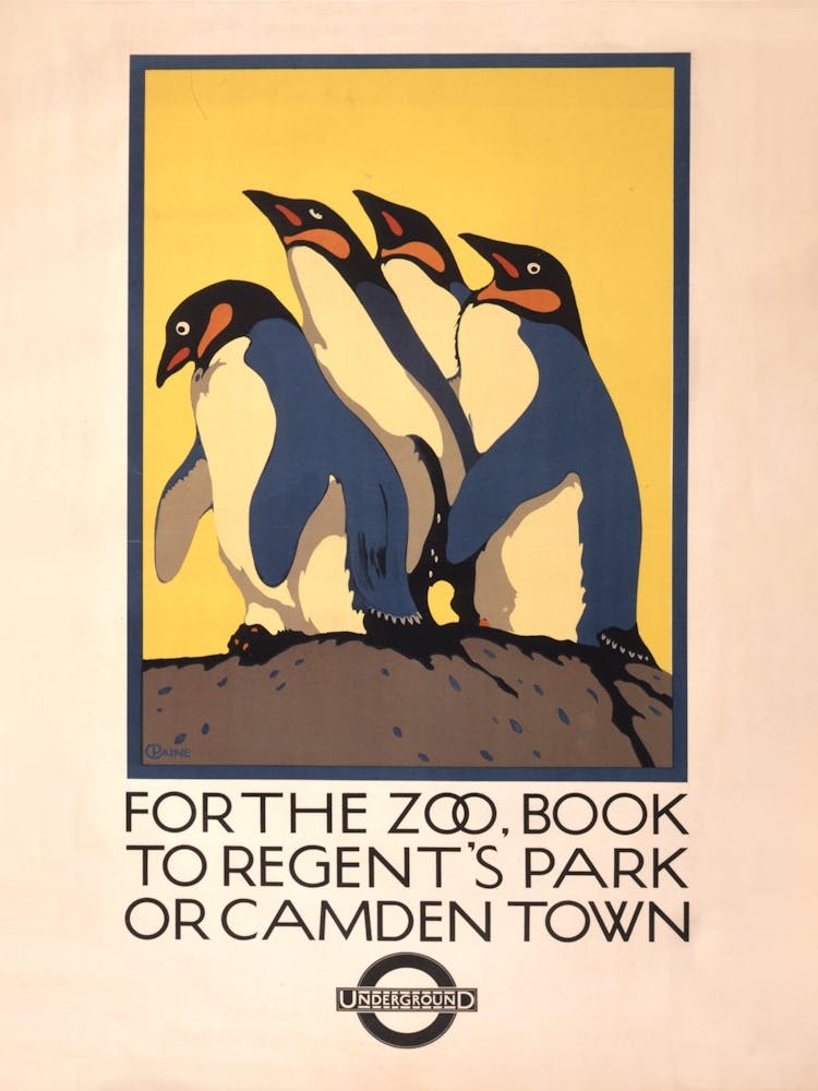 For The Zoo, Book To Regent'S Park Or Camden Town Underground, C Paine