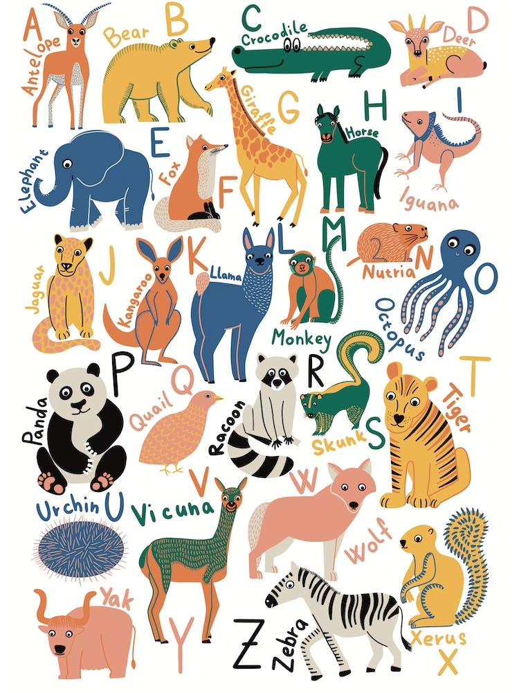 Animal Alphabet