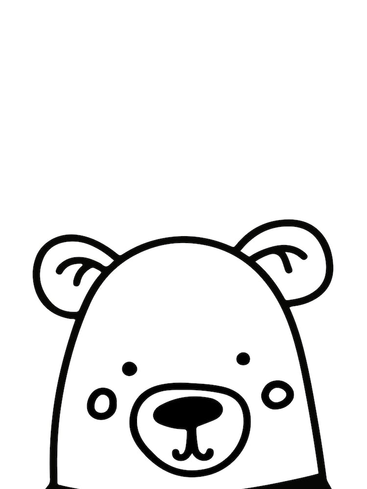 Black and White Bear