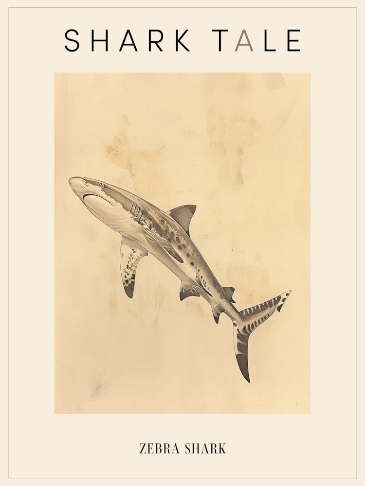 Requin-zèbre Illustration Vintage 5 - Affiche