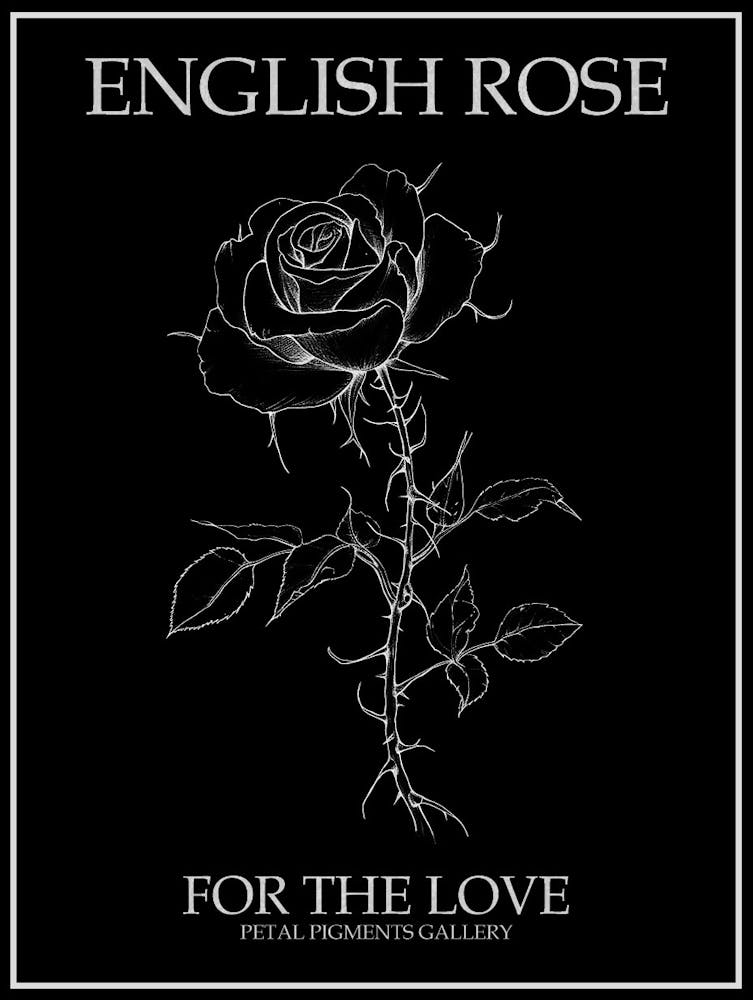 English Rose Black And White Line Drawing 31 Poster Inverted