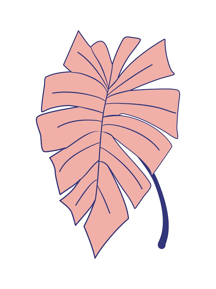 Pink Monstera Leaf