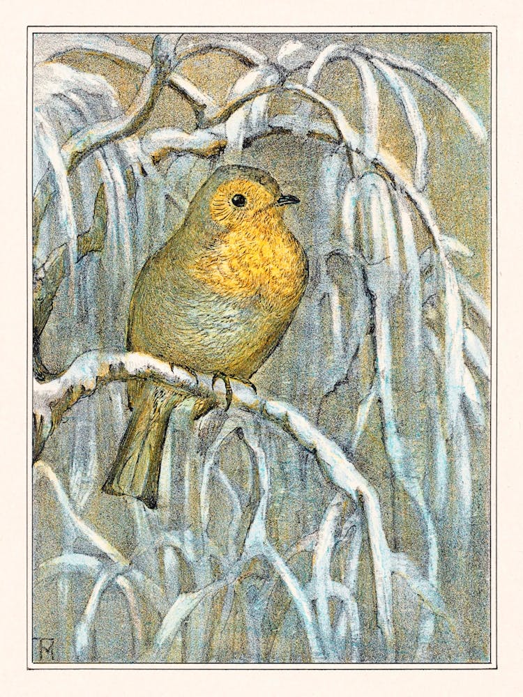 Robin On Snowy Tree Branch, Theo Van Hoytema