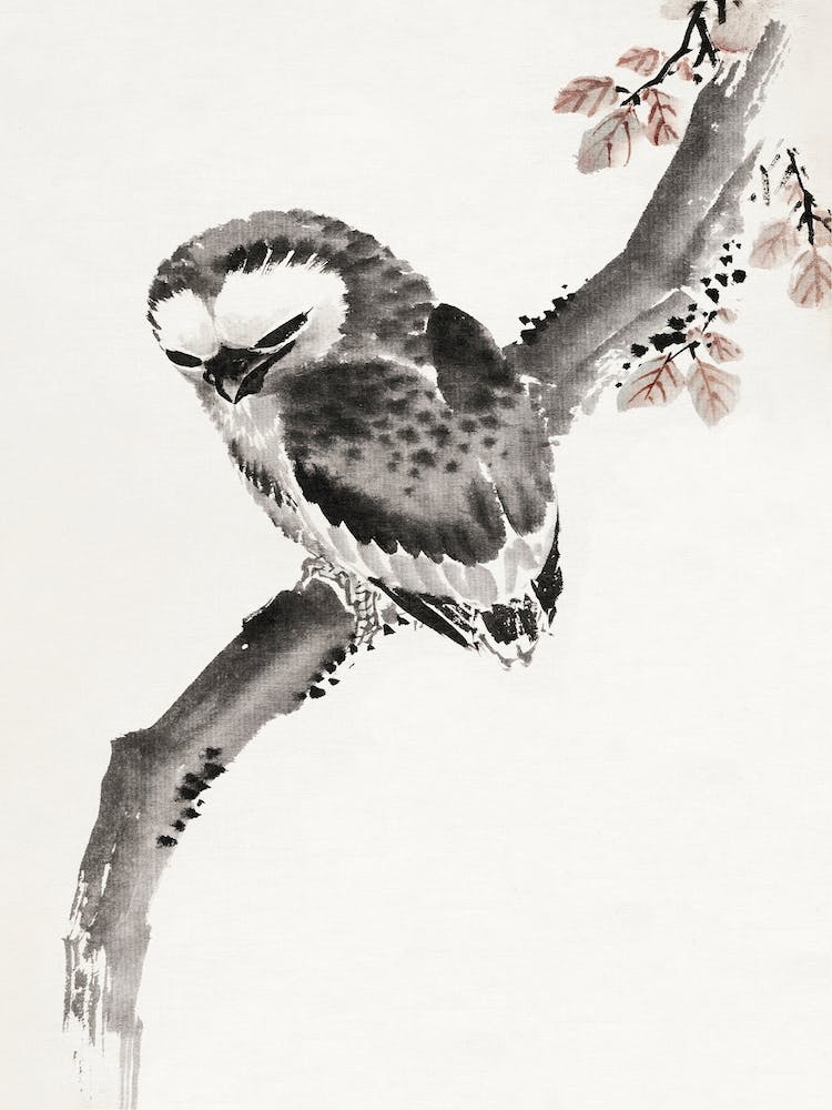 Japanese Owl, Katsushika Hokusai