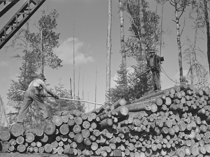 Pushing Pulpwood Into Position While Loading Car At Camp Near Effie, Minnesota By Russell Lee