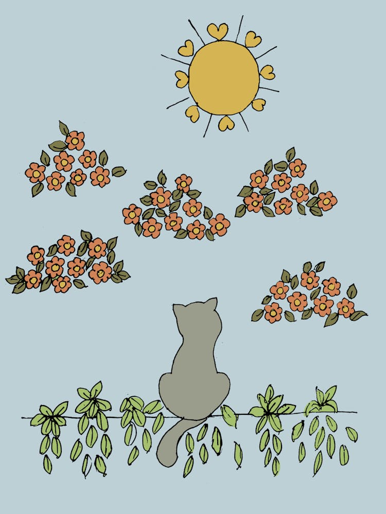 Katze beobachtet die Sonne Blumenwolken Natur