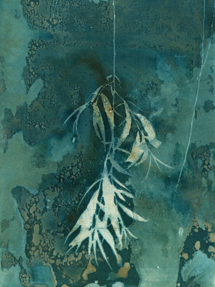 Dangling Leaves