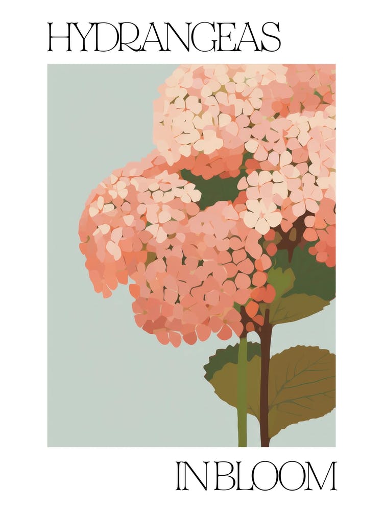 Hydrangeas In Bloom Flowers Bold Illustration 3