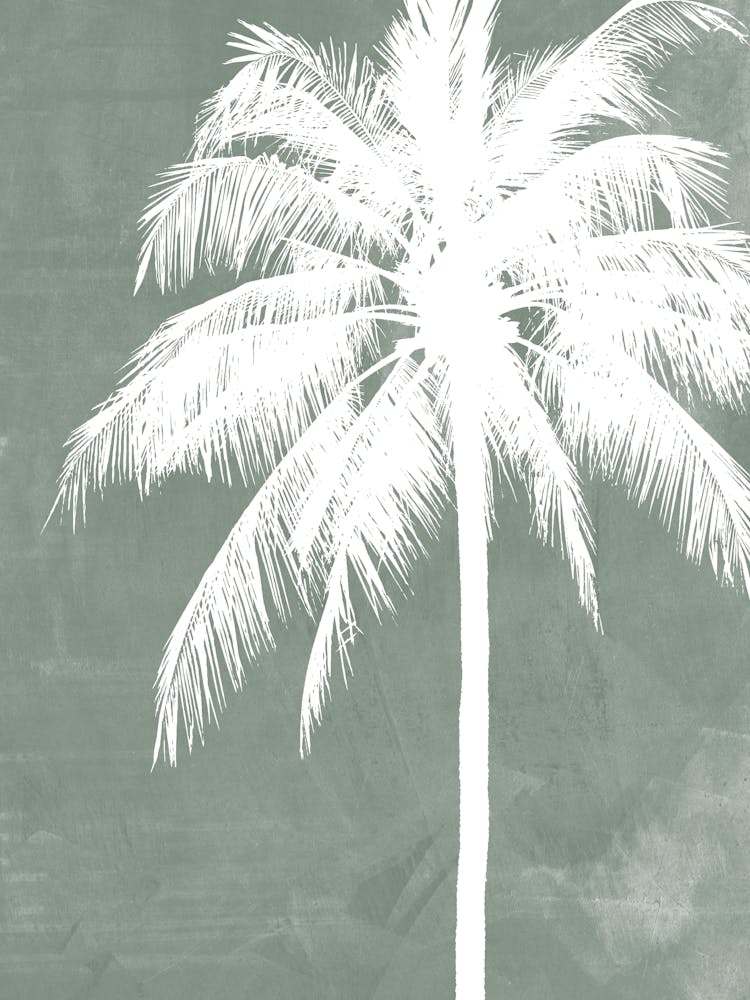 Palm Tree in Sage Green, Tropical Botanical, Beachy