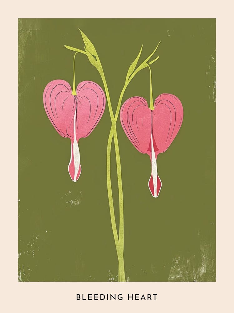 Pink & Green Bleeding Heart 2 Flower Poster