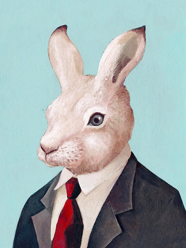 Rabbit In Suit