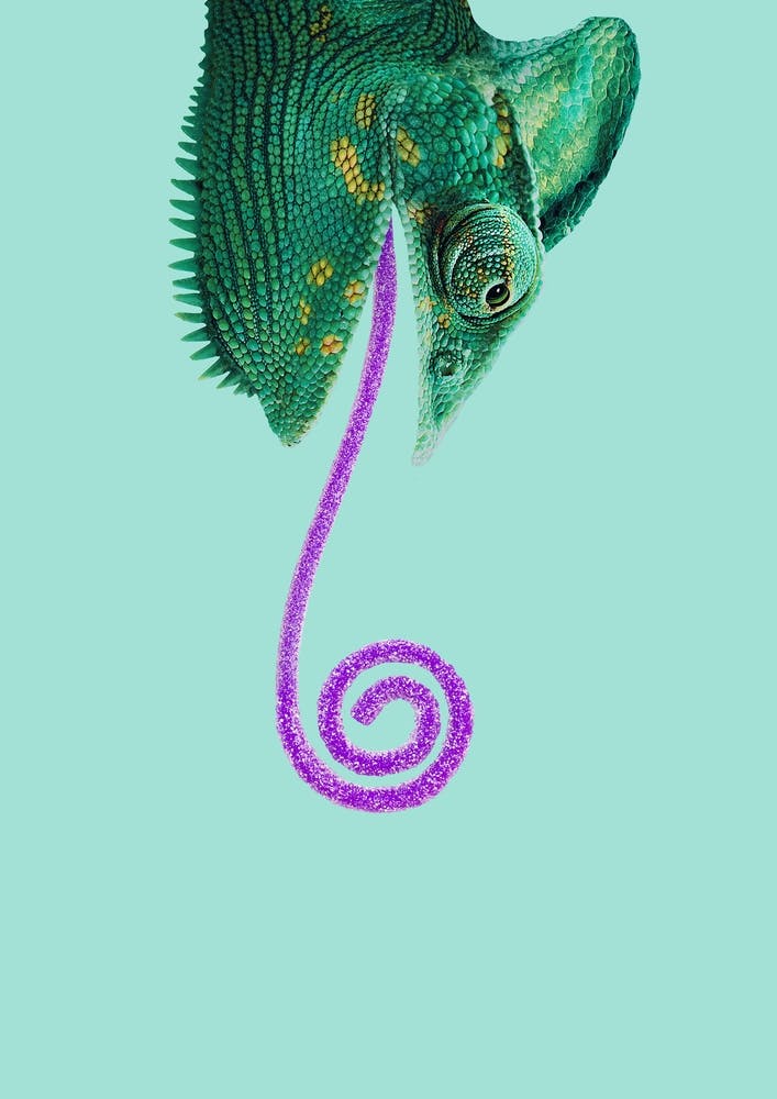 Candy Chameleon