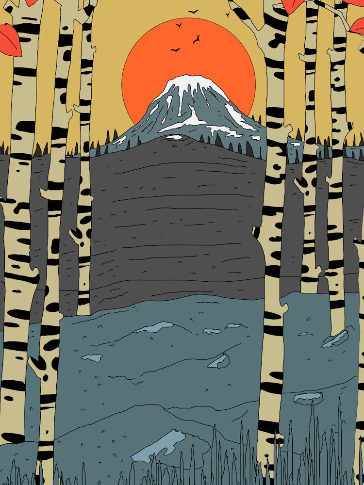Birch Trees At Sunset Vector