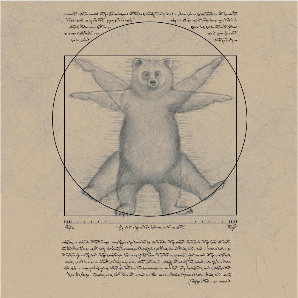 Vitruvian Bear