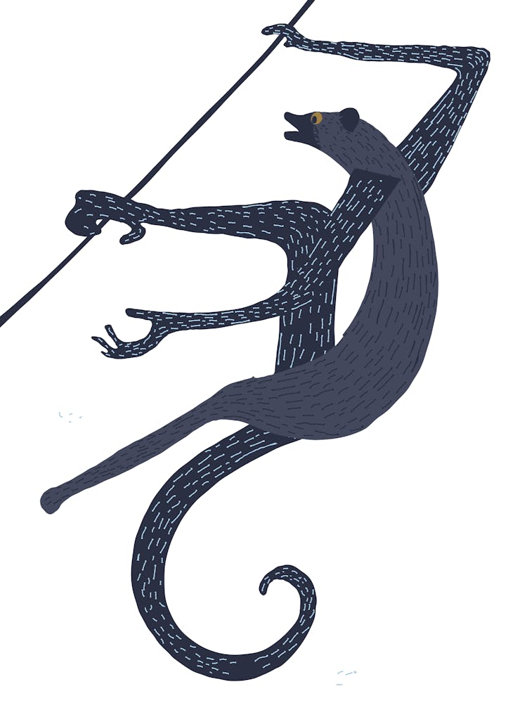 Monkey On A Rope