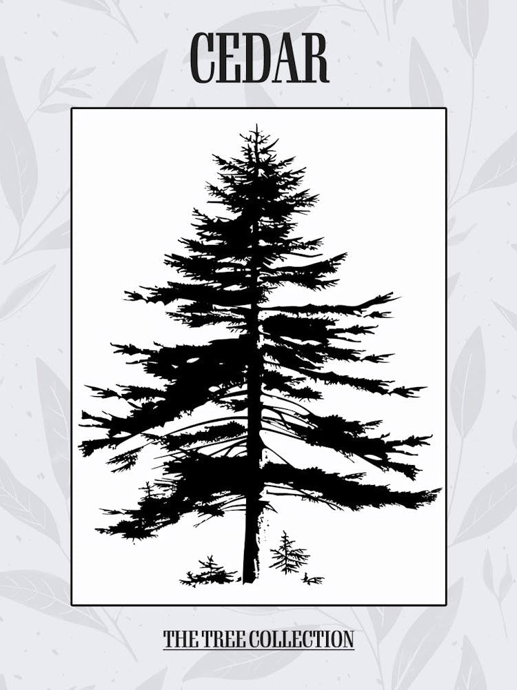 Cedar Tree Simple Geometric Nature Stencil 1 Poster