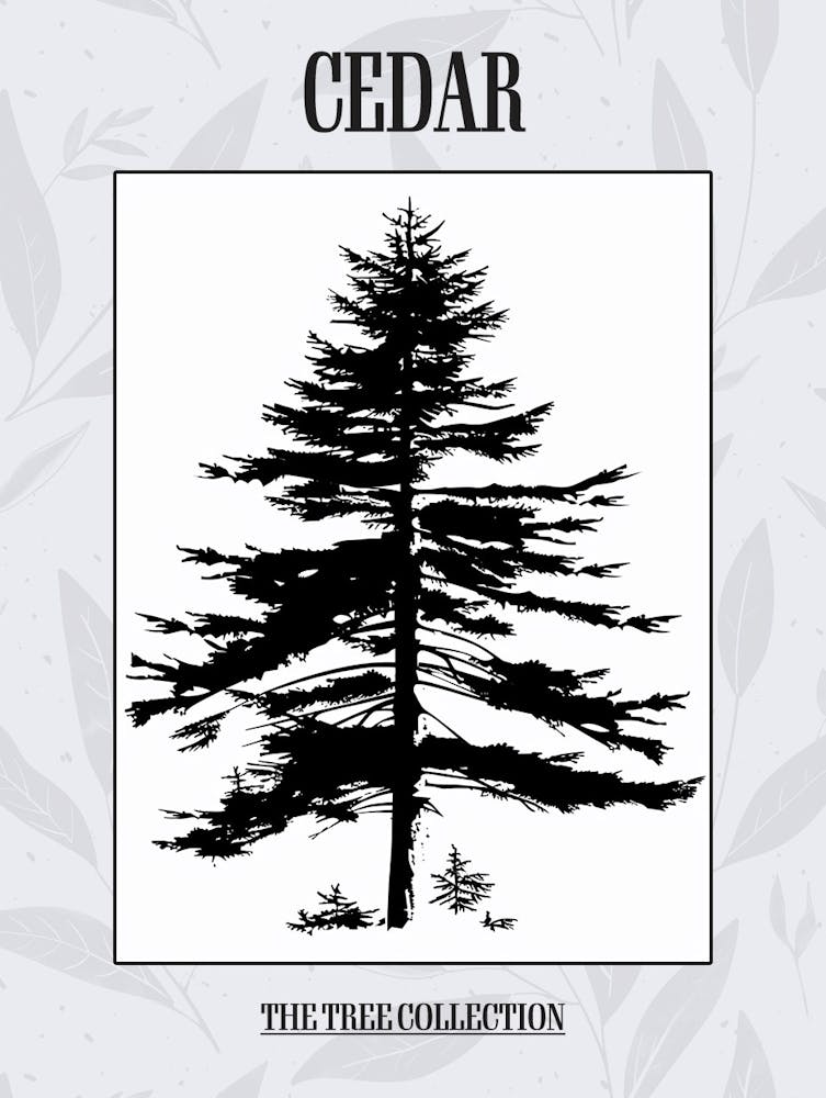Cedar Tree Simple Geometric Nature Stencil 1 Poster