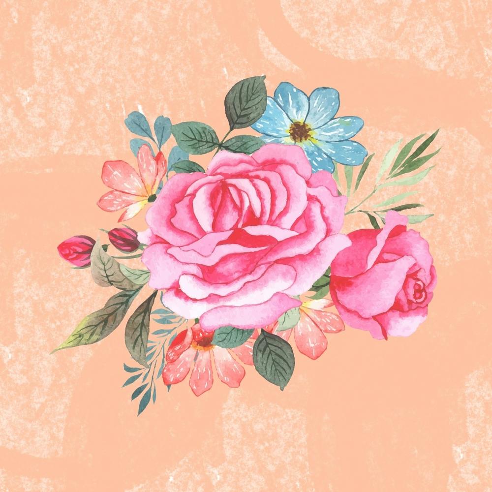 Pink Roses 1