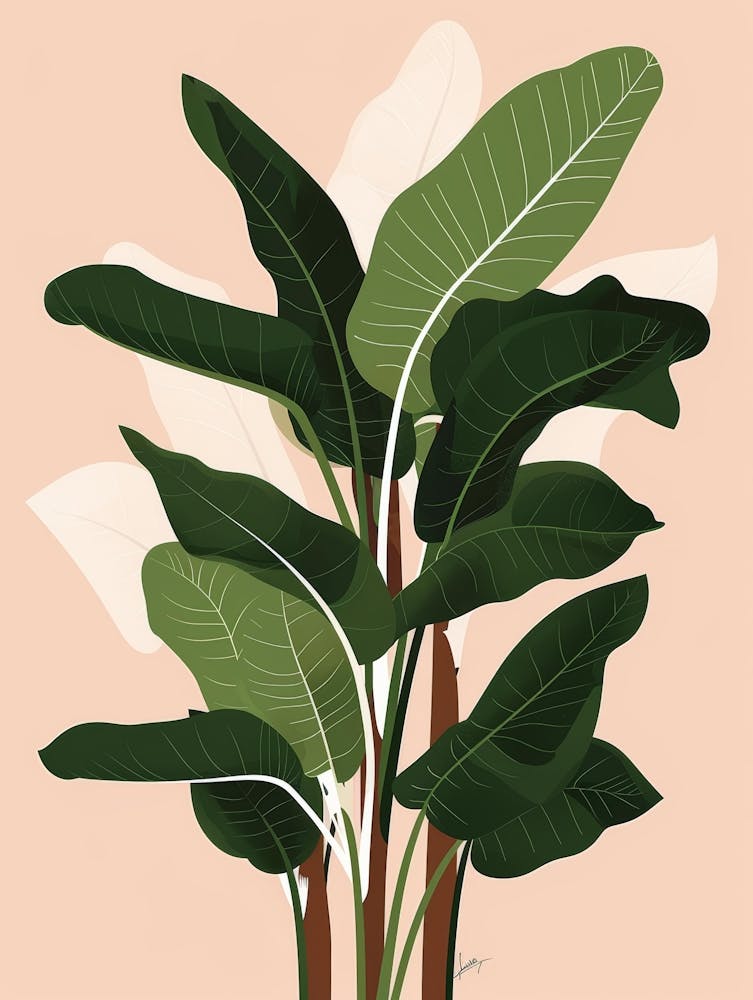 Banana Plant 6