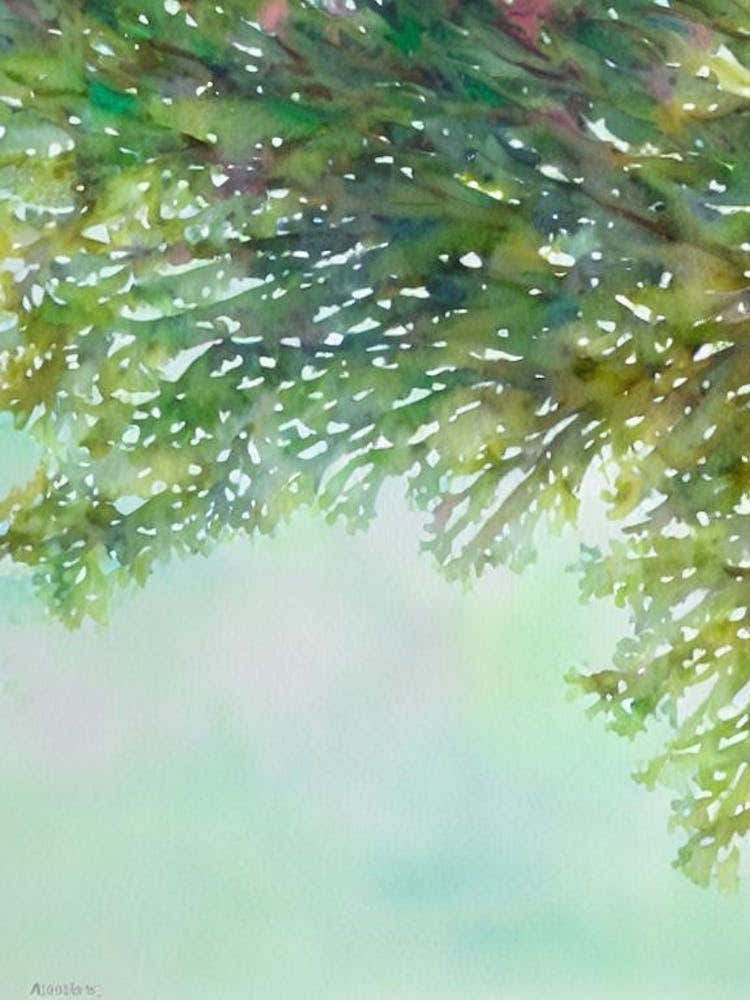 Acropora Tenius Ii Storybook Watercolour