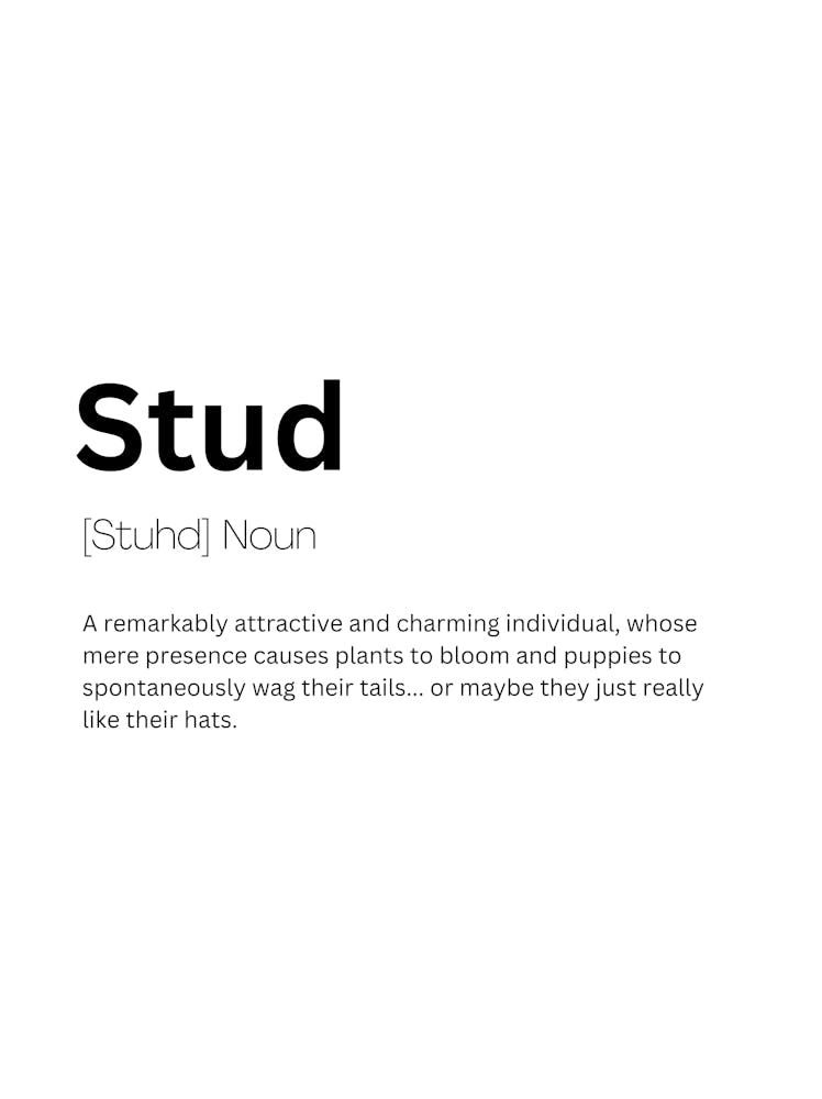 Stud Definition Meaning