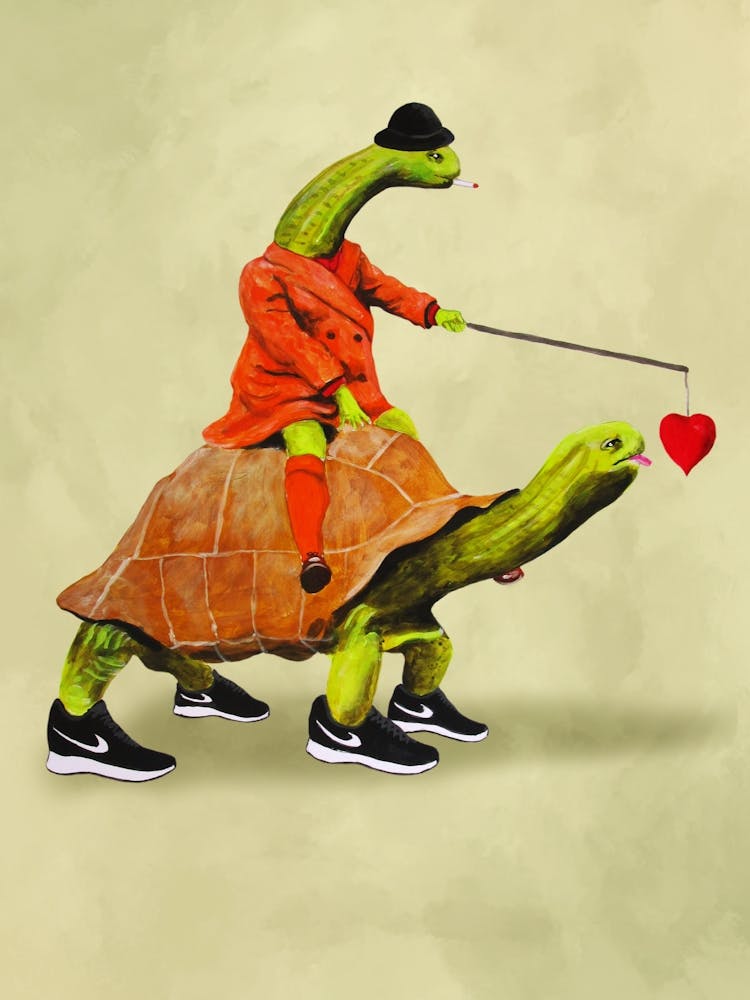 Turtle Love