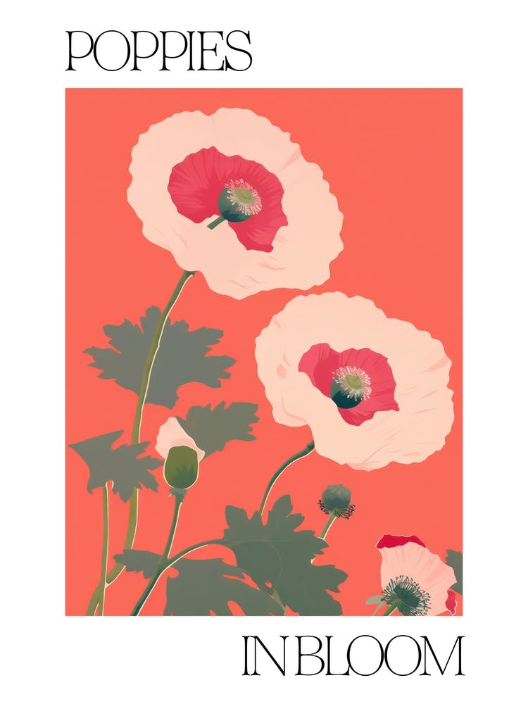 Poppies In Bloom Flowers Bold Illustration 2