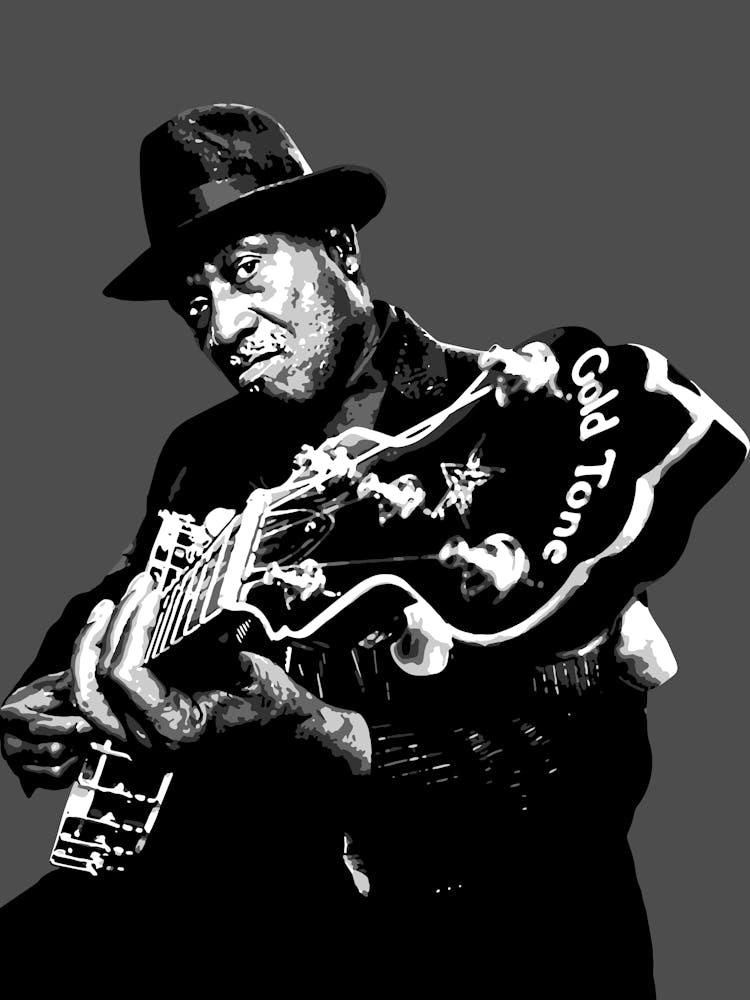 Taj Mahal American Blues Musician Legend