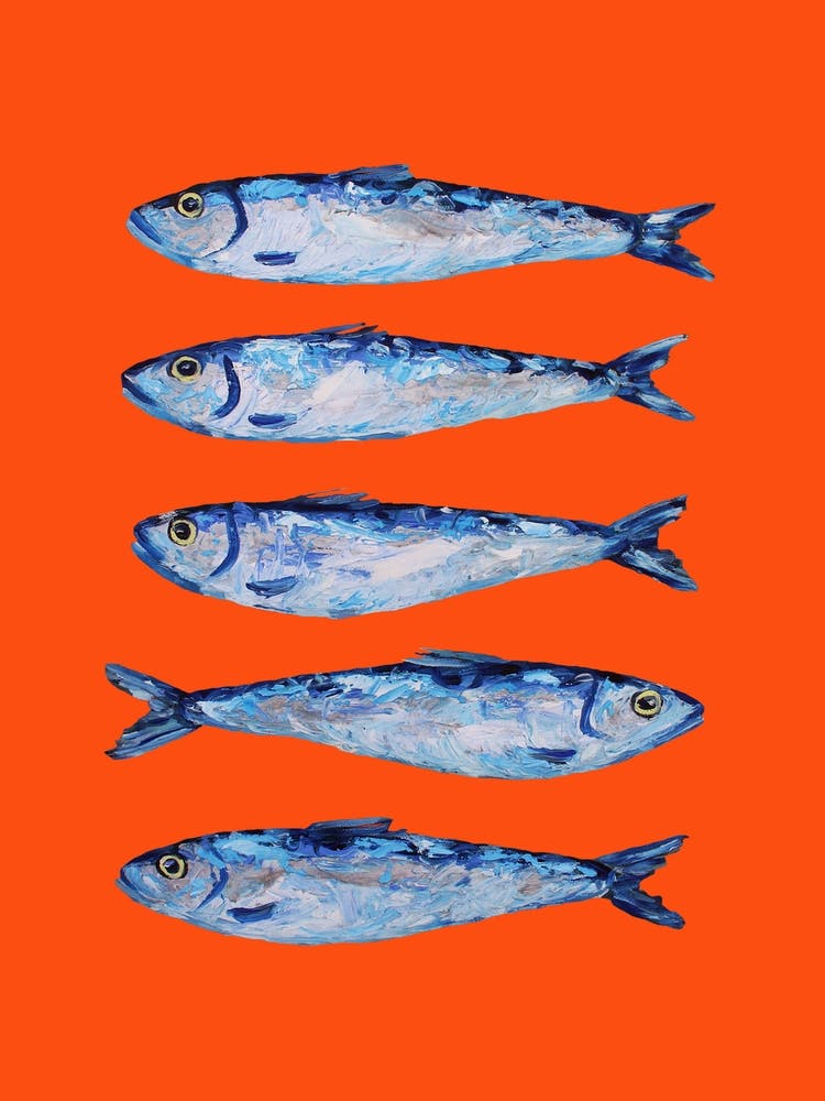 Sardines Kitchen Kitchen