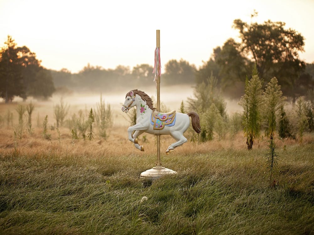Vintage Carousel Horse