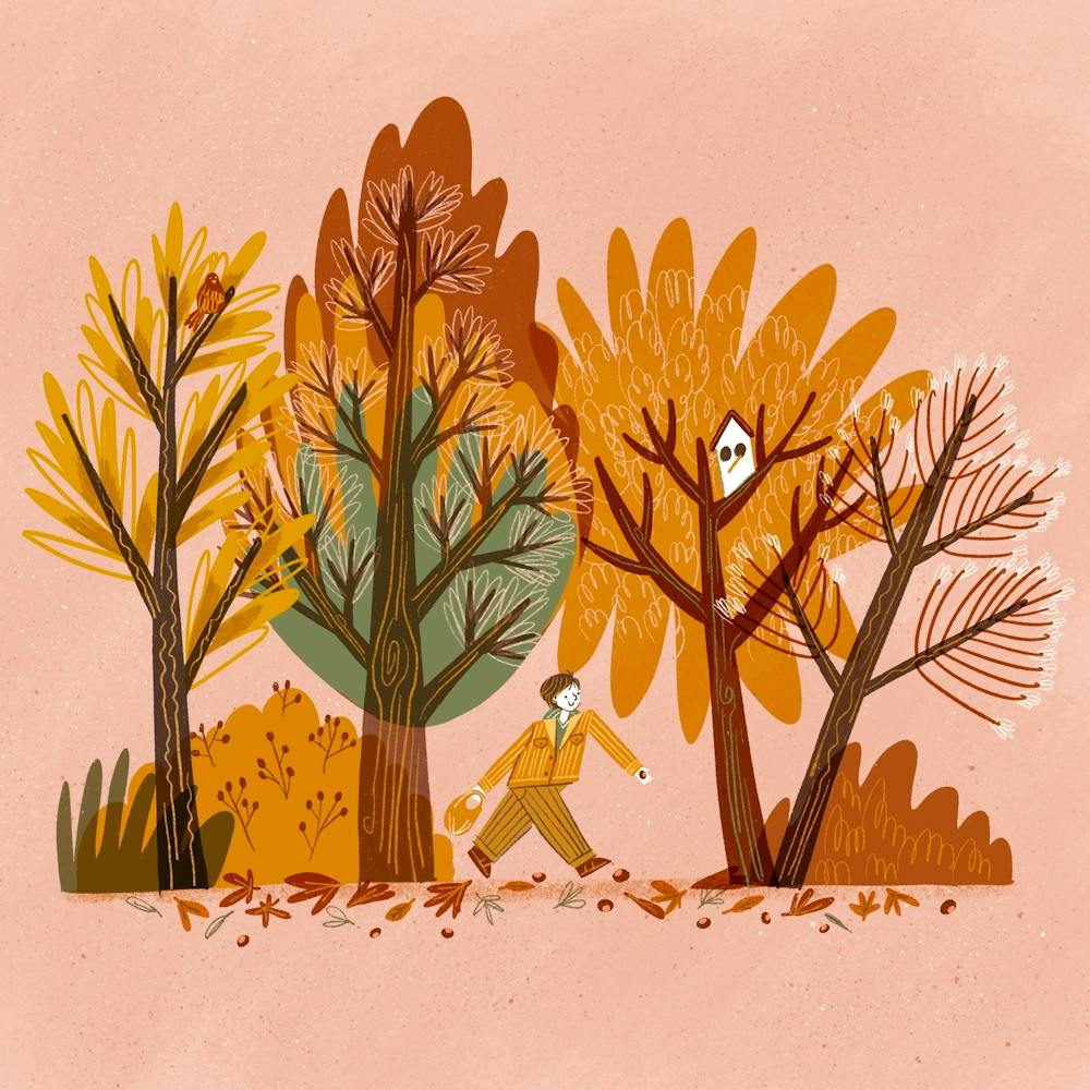 Autumn Walk 1