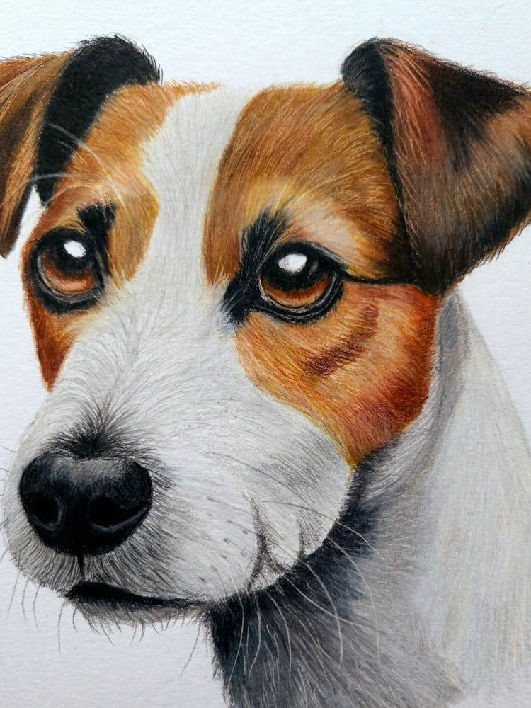 Img 20231202 134856 408