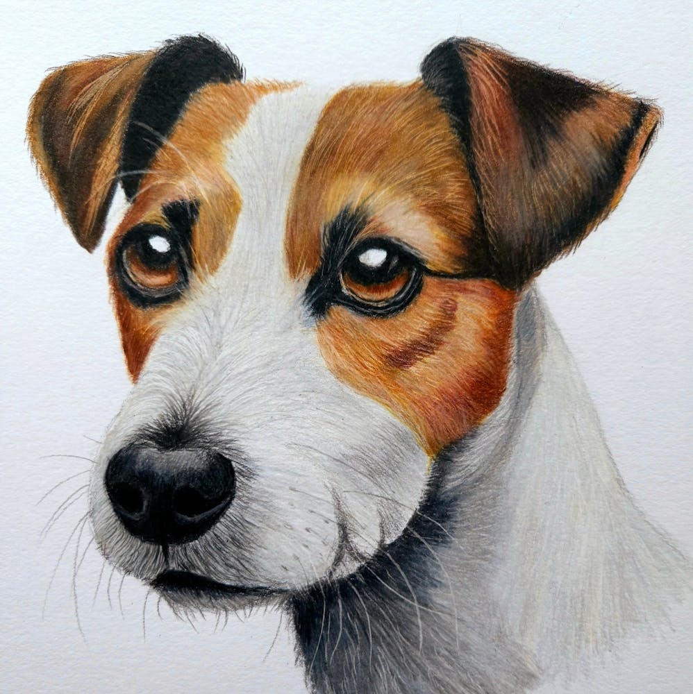 Img 20231202 134856 408