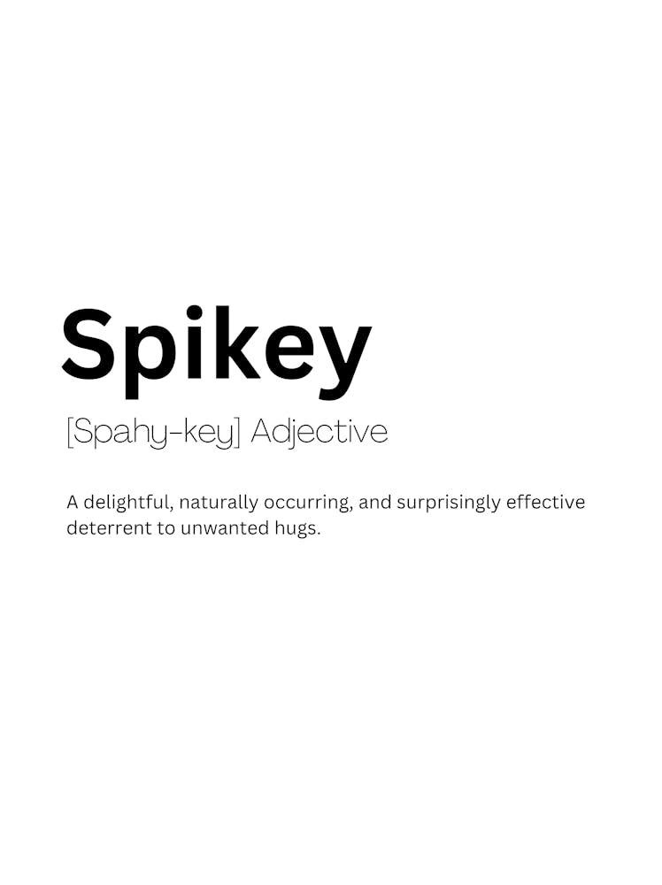 Spikey Definition Meaning